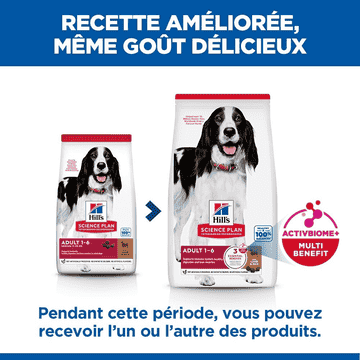 Canine Adult Medium Breed Lamb & Rice