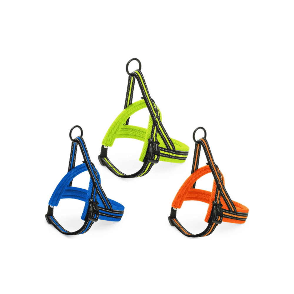 Nordic Sport Mini M4 harness