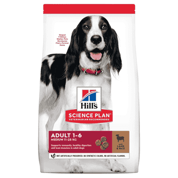 Canine Adult Medium Breed Lamb & Rice