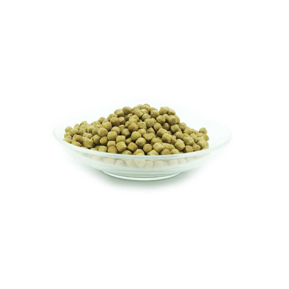 Health 6mm