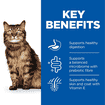 Feline Sensitive Stomach & Skin Adult - Fresh pouches