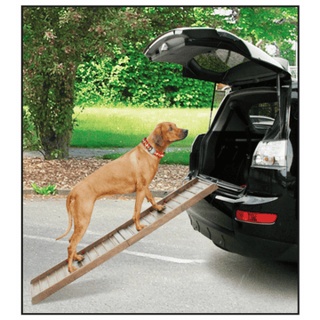 Auto Hunderampe Boarding