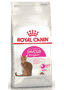 Savour Exigent Cat