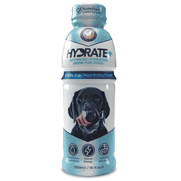 Hydrate+ Dog