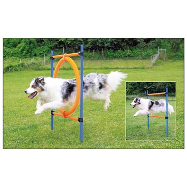 Agility Sprungring 2 in 1