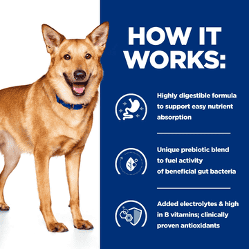 Canine i/d Digestive Care Turkey - Can