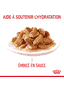 Digestive Care - sachet
