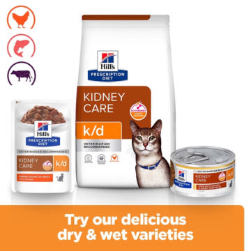 Feline k/d Kidney Care Chicken - Fresh pouches