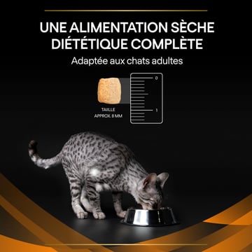 FELINE OM St/Ox Obesity Management