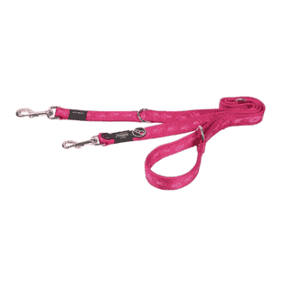 Laisse pour chien Alpinist rose
