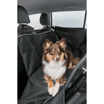 Car blanket