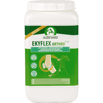 Ekyflex Arthro EVO