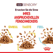 Sensory TASTE (Stückchen in Sauce) Frischebeutel