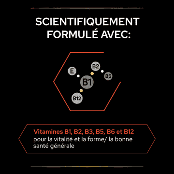Dog Multivitamins +