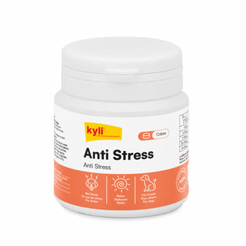 Anti Stress Cubes