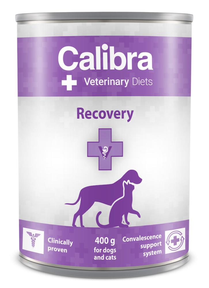 Canine/Feline Recovery