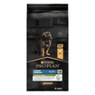 LARGE ROBUST PUPPY Healthy Start