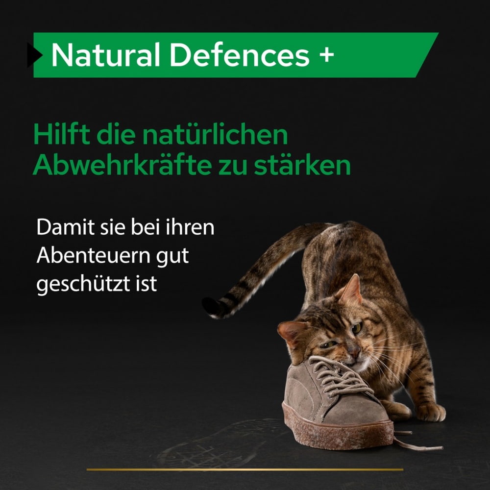 Cat Natural Defences +