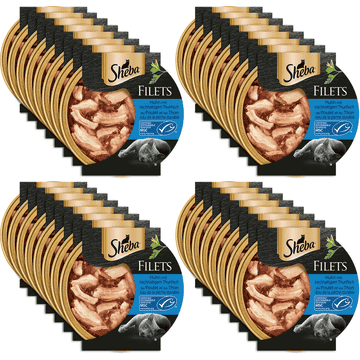 Feine Filets in Sauce