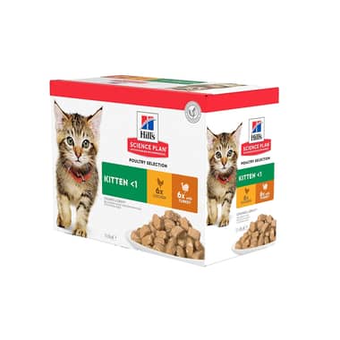 Kitten Poultry Selection - Frischebeutel