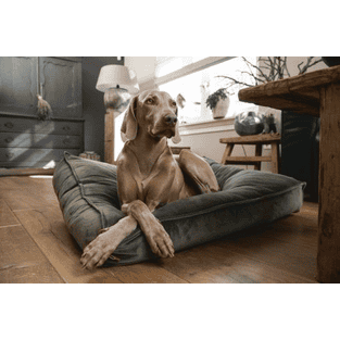 Coussin pour chien Nalino velours