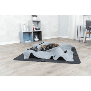 Cat Activity Adventure Carpet
