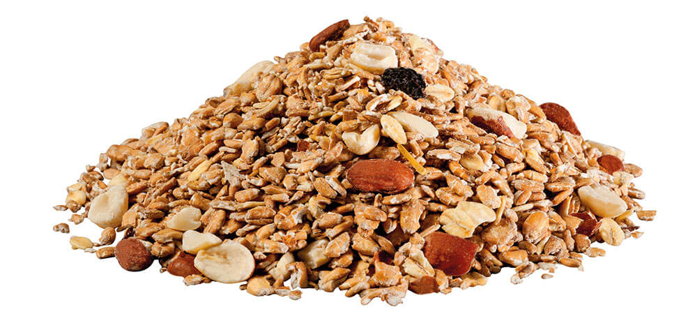 Fat food for wild birds