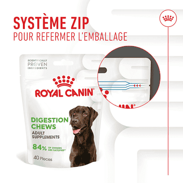 Digestion Chews Adult Supplements