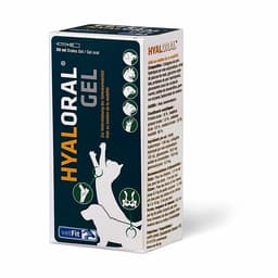 Hyaloral Gel