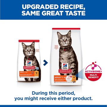 Feline Adult Chicken