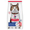 Feline Mature Adult 7+ Salmon