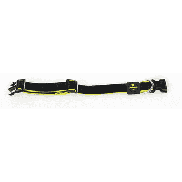 Active Dog Collier