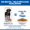 Canine Perfect Weight + Active Mobility Large Breed