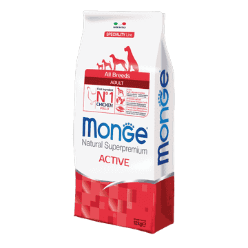 Actif toutes races
