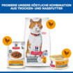 Feline Sterilized Adult 1-6 Mousse