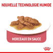 Indoor Sterilised Cat en sauce - sachet