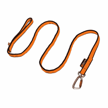 Bungee Leash Black/Orange