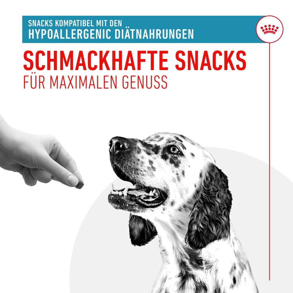 Hypoallergenic Treats