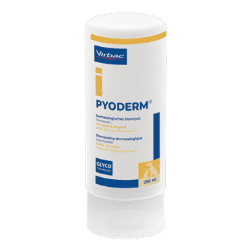 Pyoderm Shampoo