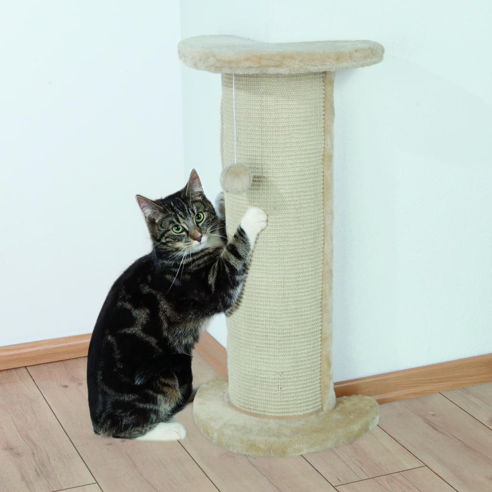 Lorca scratching post