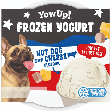 Dog Frozen Yogurt