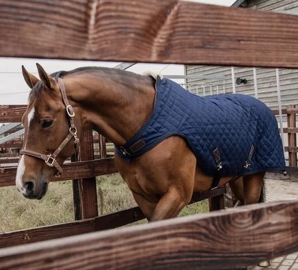 Walker blanket 160 g