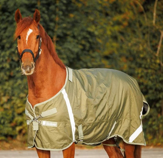 Grazing rug Denver 100 g - olive