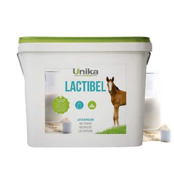 Lactibel