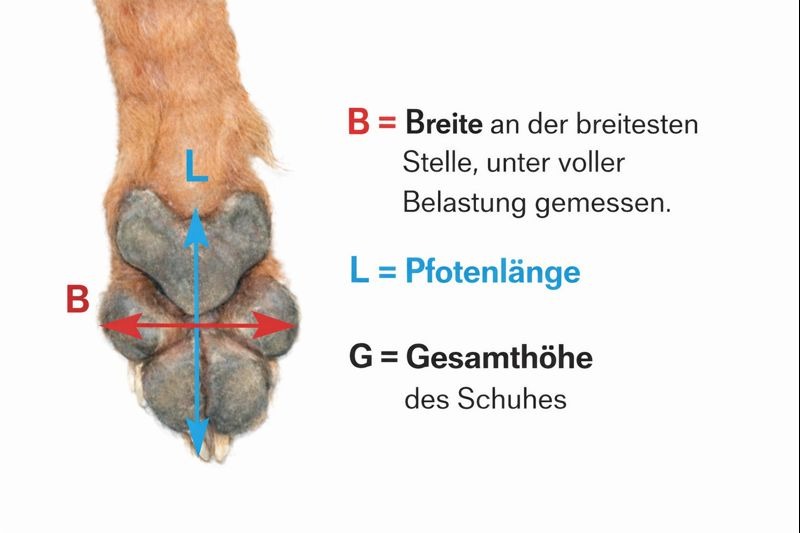 Pfotenschutzschuhe Pro Active