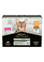 Adult Sterilised Maintenance Poulet en sauce