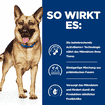 Canine Gastrointestinal Biome