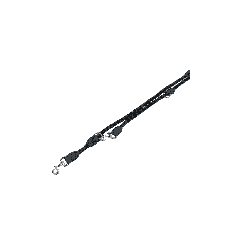 Leash Fun Royal