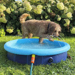 Splash Pool 2 en 1