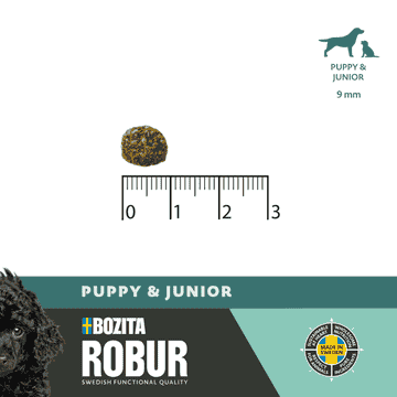 Dog Robur Puppy & Junior